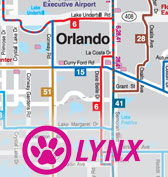 Orlando Bus Routes Map